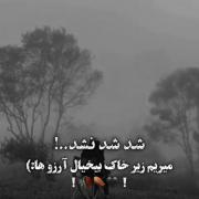 شد شد نشد.......! 