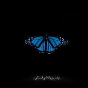 تـــو مــثـــل پــروانــه...😉🦋