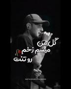 کیا گلشونو از دست دادن؟:/🥀🥲🫠