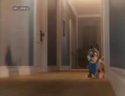 اگه عشقت واقعی باشه باید هرکاری میتونی براش بکنی:/