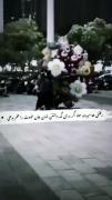 رفتنی می‌ره حالا تو هی تلاش کن ...