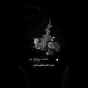 چرا خوبان زود می‌میرند خدااااااااا