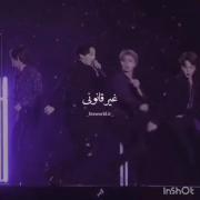 چال گونه،غیر قانونی است. (BTS) 