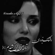 دلم تنگ است برای کسی ک دلتنگم نیست.....