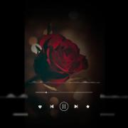 هی گل گل بگیریم واسه هم قول قول که بمیریم واس هم