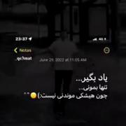 یاد بگیر تنها باشی چون هیچکس موندنی نیست. ـ