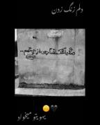 ...............................