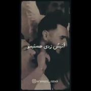 ..............................