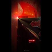 خواب می‌دیدم که کنار ضریح تو ....