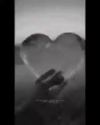 میدونــی شب کــه میشه منمو زیــر سیگاری تکوتنــها خفــه یــ دود🖤 