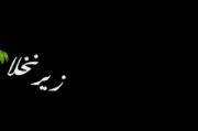 غمگین زیر نخلا از مهراد هیدن 🖤