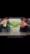 واقعا با چه دلی میگین ایی. دهنی. همیدگیرو هم میخورین ایششش😒😪🫤