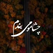 ای کاش بودی کنارم دل تنگتم 😢🥲