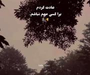 ما نبودیم بعضی به مقصد نمی رسید