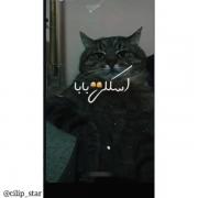 طنزه گربه انتظار اسکول.......... 