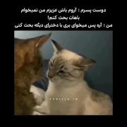 منطق‌دخترا‌ب‌روایت‌تصویر:🗿😂‌‌‌‌‌‌‌‌