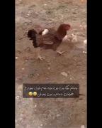 وقتی مامانم می‌گه بین بچه‌هام فرق نمی‌ذارم! 😂