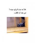 من بعد از هربار غذا خوردن😂ــــــــــ