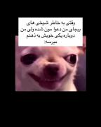 وقتی شوخی‌های بیجا باز هم به ذهنت میرسه! (میم طنز)