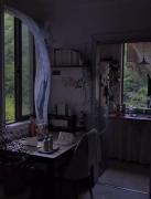 لحظاتی آرامش‌بخش با نسیم ملایم و چشم‌انداز طبیعت