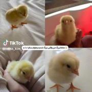 ‌‌‌‌‌‌‌‌‌‌‌‌‌‌‌‌‌‌‌‌‌‌‌‌‌‌‌‌‌‌‌‌‌‌‌‌‌‌‌‌‌‌‌‌‌‌