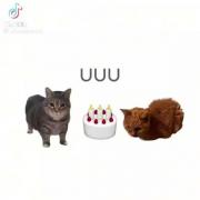 1404/2/15 ‌ ‌ ‌‌ ‌‌ ‌‌ ‌ ‌‌ ‌ ‌‌ ‌ 