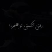 همه لحظه تا پر زدو رفت؛‌‌‌‌‌‌‌‌‌‌