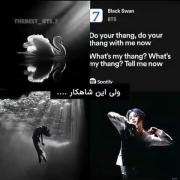 Black Swan🖤🦢 .