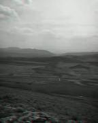 تو کدوم از این گل‌هایی؟؟؟؟؟؟؟؟؟؟ 