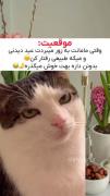 -تأیید؟!حق‌تر‌از‌این؟😂😔👼🏿💞🎀💗🤌🏿✨️✅️🤣🧃