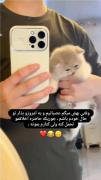 -جوری‌که‌منو‌ول‌نمیکنه>>🤍🫂💞💗👼🏿✨️✅️🎀🤌🏿💘