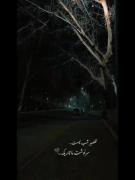 تــقــصــیــر شــب نـــیــست...
