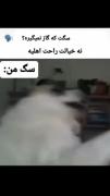منی ک منتظر بودم سگع دماغشو گاز بگیرع🤣🤣🗿