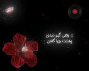 موزیک ویدیو احساسی شروین: حرف نزدم پشتت