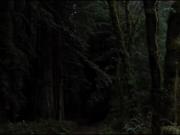 برو‌‌برو..(:🖤‌‌ ‌‌ ‌‌ ‌‌ ‌‌ ‌‌