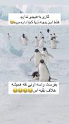 🐧😞😂😂 ! .