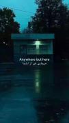 انگار به جایی دیگ تعلق دارم؛ هرجایی غیر از اینجا❤️‍🩹🧑‍🦯