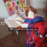 من که نهههہ .. 😭`💘.‌‌‌‌‌‌‌‌‌‌