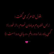 شاعر میگه🖇خودم درست کردم خواستی برداری قبلش فالو کن🫶🏻: