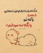 یا بمون😌یا نرو😌یا نگهت میدارم😌♥️