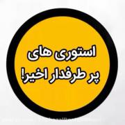 ...........................................