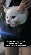 الهی..........................(: