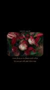 .....روزت مبارک قلب من .....🫀🫂