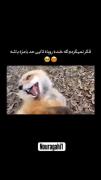 واییییی چه قشنگ می‌خنده:))))))🥺♥️