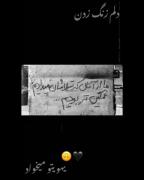 اینم بدون زدی رفتی دلم تنگت م