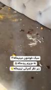 وقتی سبک خانه از مینیمال به "نینیمال" تغییر می‌کند! 😂