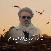 آهنگ غمگین و شعرخوانی: نه از آشنایان وفا دیده‌ام