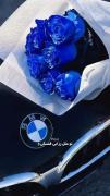 گل رز آبی: جلوه‌ای از زیبایی و هنر | گل رز آبی