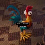 🐓.‌‌‌‌‌‌‌‌‌‌‌‌‌‌‌‌‌‌‌‌‌. ‌‌‌‌‌‌‌‌ 