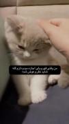 عه این که دقیقا منم :))))))))) 